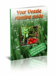 Vegetable Planting Guide