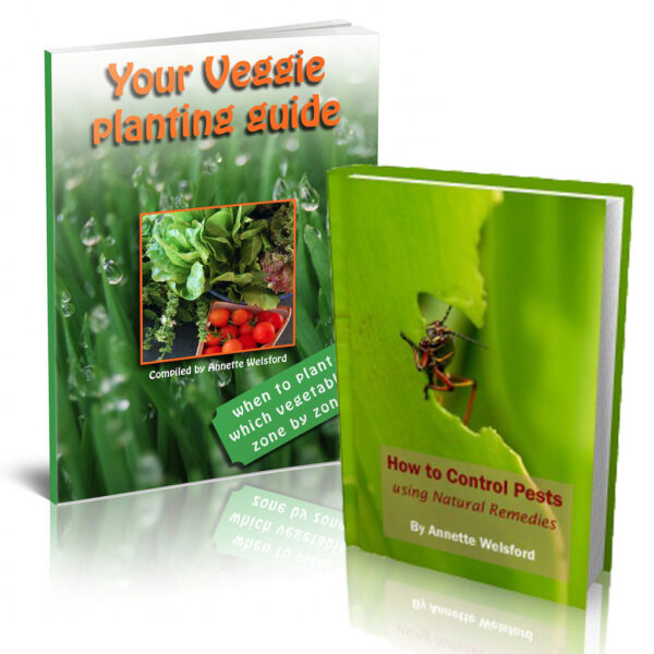 Companion Planting Guide